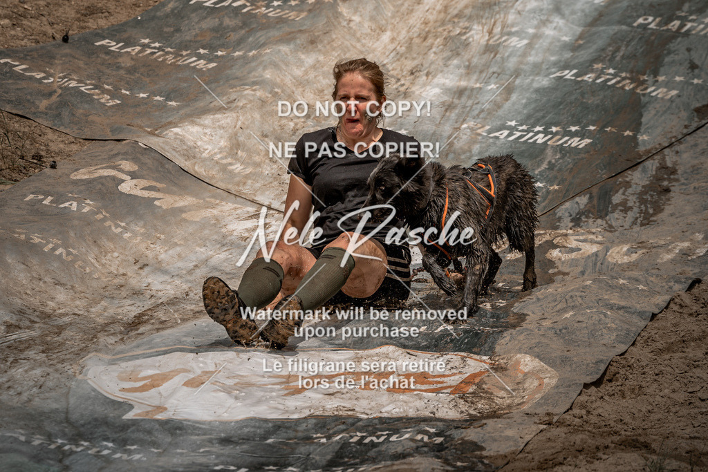 nelerasche_sa1345-1430_329 | nelerasche