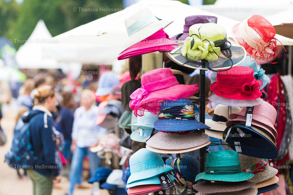 TH_Ausstellung_Detail_1640 | CHI Donaueschingen 2019 am 17.08.19 in Donaueschingen, Donaueschinger Schlosspark, Thomas Hellmann, TH_Ausstellung_Detail_1640