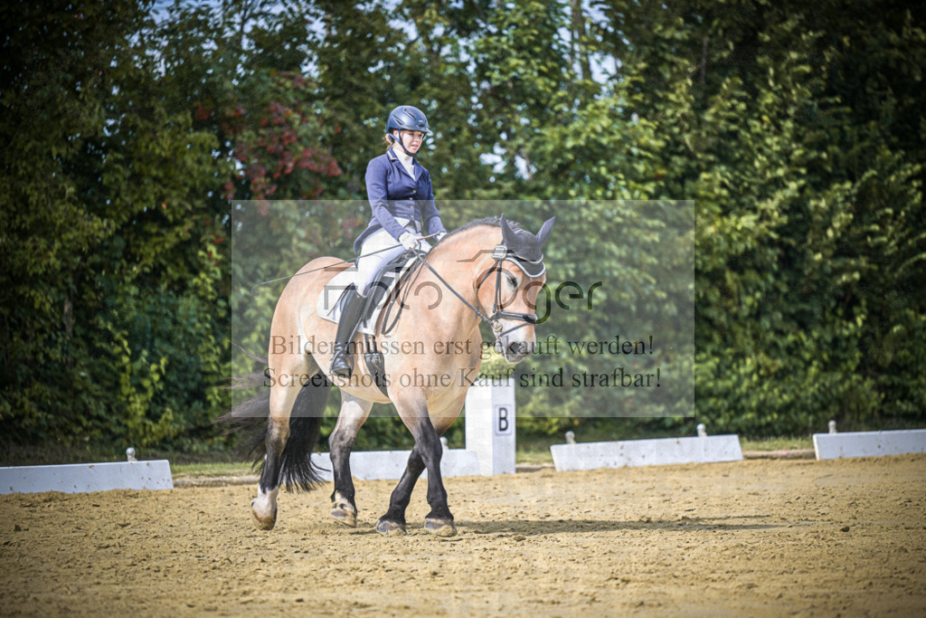 DOS_6639 | Entdecke hochwertige Reitturnierfotos von Foto Oger. Professionell, emotional und authentisch – jetzt Lieblingsmomente im Shop bestellen.Deutschlandweite Turnierfotografie. - Realisiert mit Pictrs.com