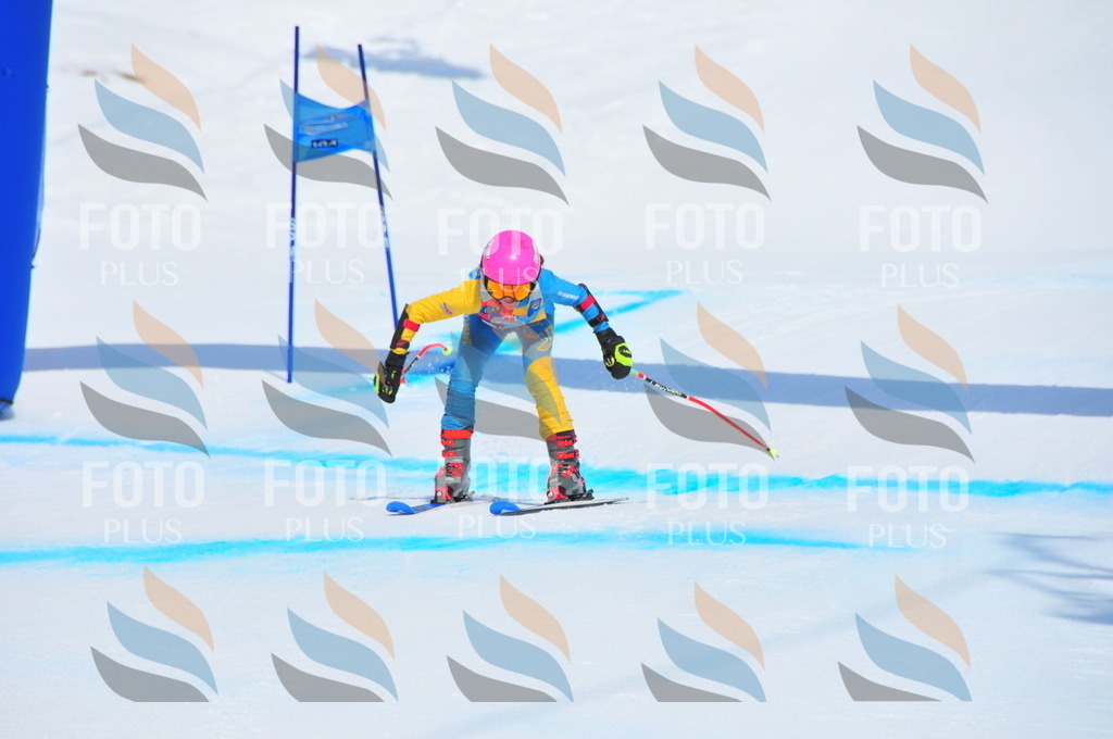 DSC_5325 | holidayphoto