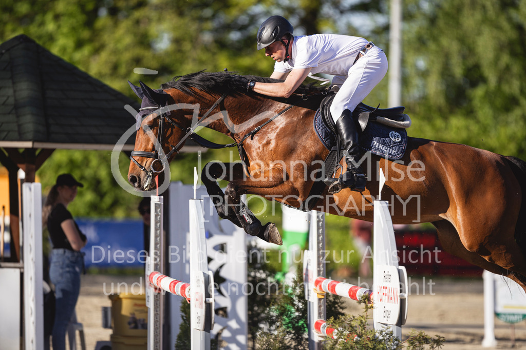 260501_Spenge_12_SprPf-M-645 | Deine schönsten Turniermomente als professionelle Fotos! Entdecke hochwertige Pferdesport-Fotografie im Online-Shop. Jetzt Fotos finden & bestellen!