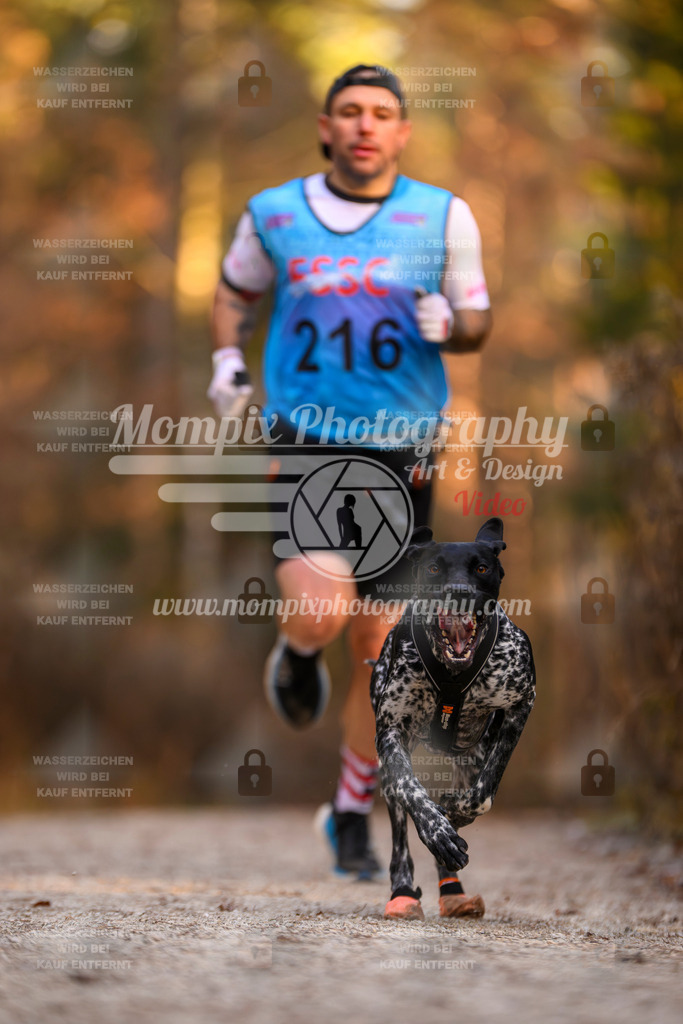 MompixPhotography_DM_AKDM_SO_2025_-24 | PayLife