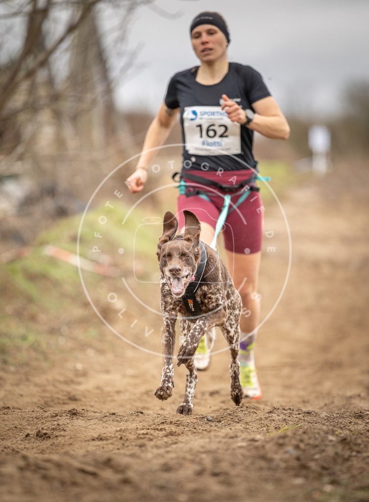 DV3A1776 | Hundefotografie, Tierfotograf, Pfotenfotografie, Fotoshooting Hund, Hunde Portrait, Hundesport, Hundeportraits, Heideshooting, Hunde, Sportfotograf, Hundefotograf, Turnierhundsport, THS,  - Realisiert mit Pictrs.com