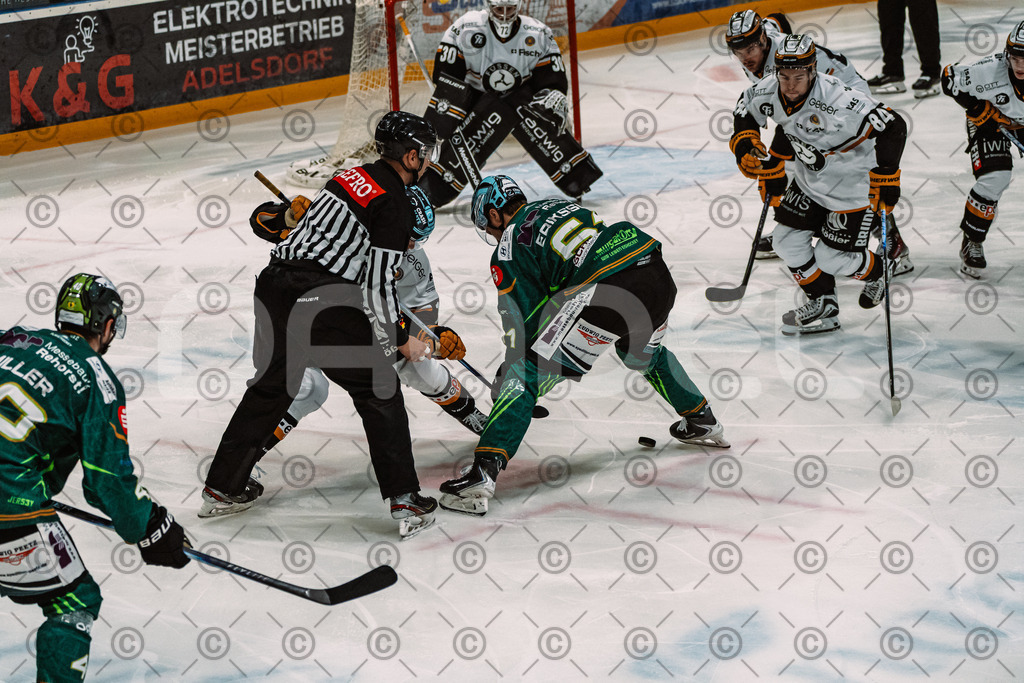 Alligators_vs_Fuessen_27_09_2026-25 | Die Fotogalerie von Daddel: professionelle Bilder von Sport, Events und Unternehmen aus Franken. Jetzt Galerien durchstöbern und Lieblingsfotos bestellen. - Realisiert mit Pictrs.com
