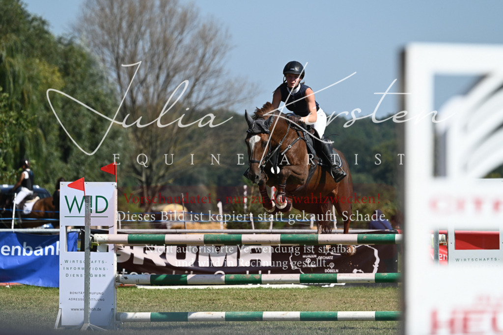 DSC_6451 | Pferde- und Turnierfotografie in Westsachsen. Pferdeportraits, Auftragszeichnungen und intuitive Kunst.