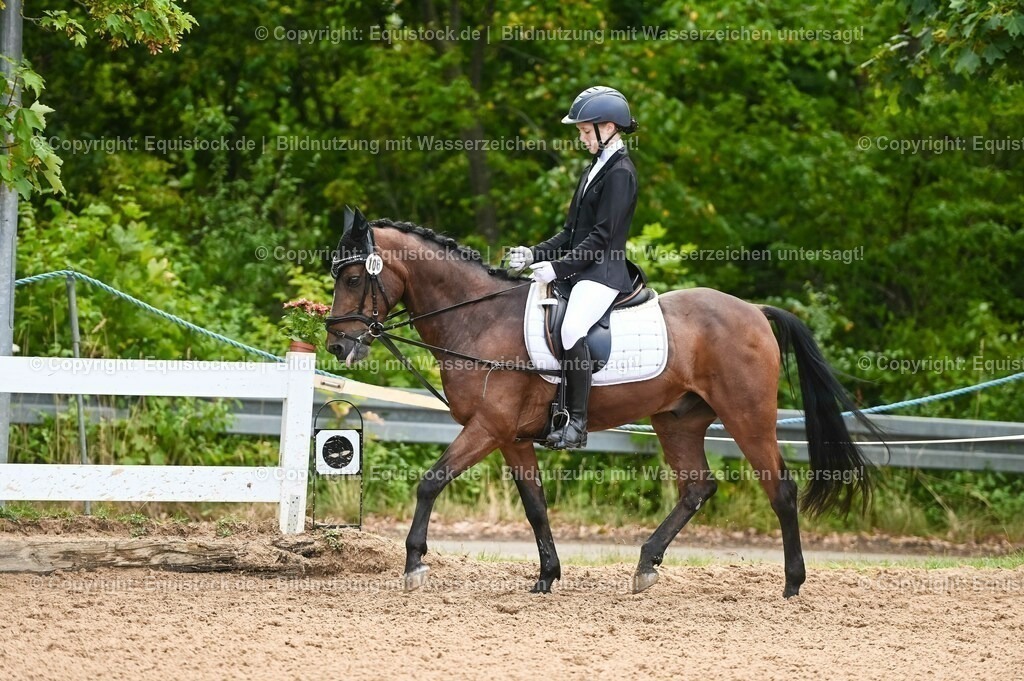 20230716_10-2_Reiter-WB Schritt - Trab - Galopp_0127 | equistock