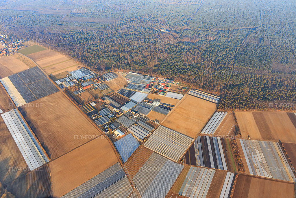 Luftbild: Ortsteil Gärtnersiedling mit Gärtnerei Molcz, Bärli gmbH & Co.KG Andreas List, Baumschule Gunther Möller und Gärtnerei Böttcher Stefan in Bürstadt im Bundesland Hessen in Deutschland. Foto: IMG_096709.jpg vom 14.02.2017 durch Werner Riehm/FLY-FOTO.deBAERLI-SPARGEL.DE