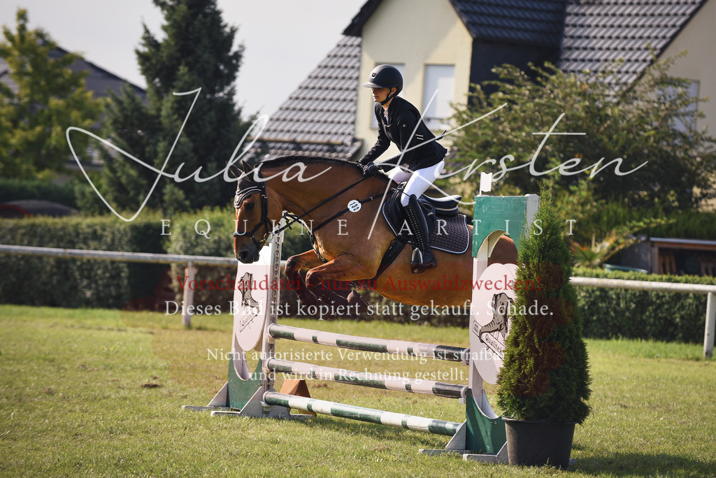 DSC_8855 | Pferde- und Turnierfotografie in Westsachsen. Pferdeportraits, Auftragszeichnungen und intuitive Kunst.