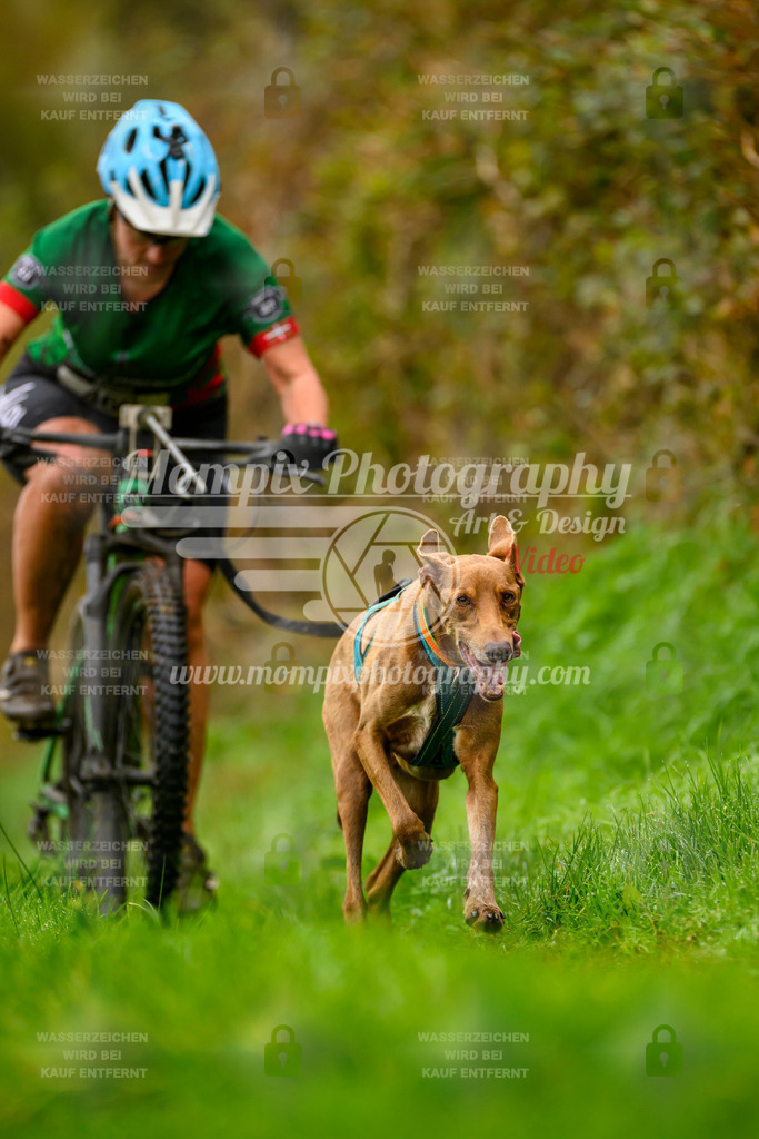 MompixPhotography_20TSB_E8_Bike-167 | PayLife