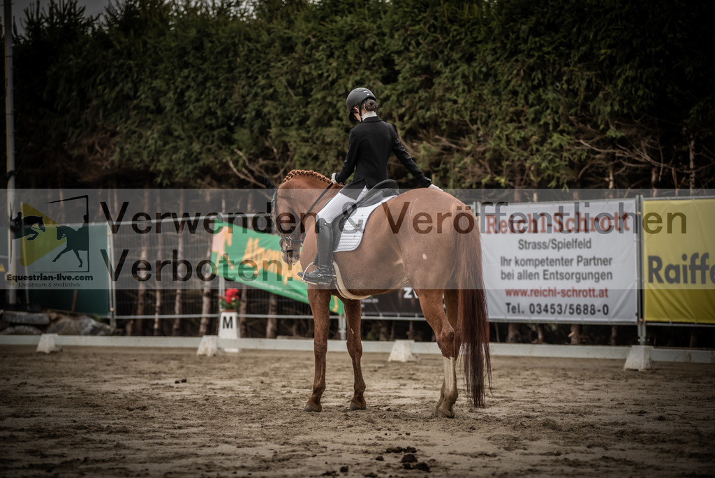 DSC_0277 | equestrian-live-com