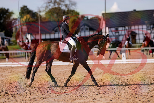 2026_10_03_Siefer-Hof_130220_Z81_56217762 | Professionelle Reitsport-, Turnier- und Eventfotografie von Robert Broda. Galerien mit ausgewählten und bearbeiteten Bildern direkt online ansehen und bestellen.
