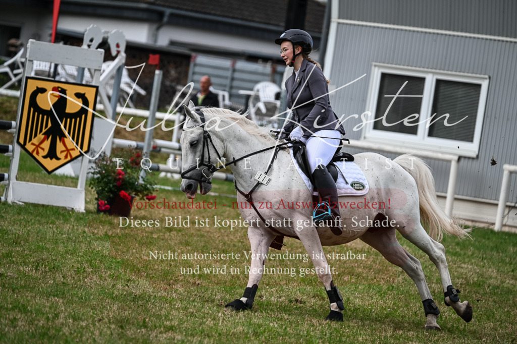 DSC_8627 | Pferde- und Turnierfotografie in Westsachsen. Pferdeportraits, Auftragszeichnungen und intuitive Kunst.