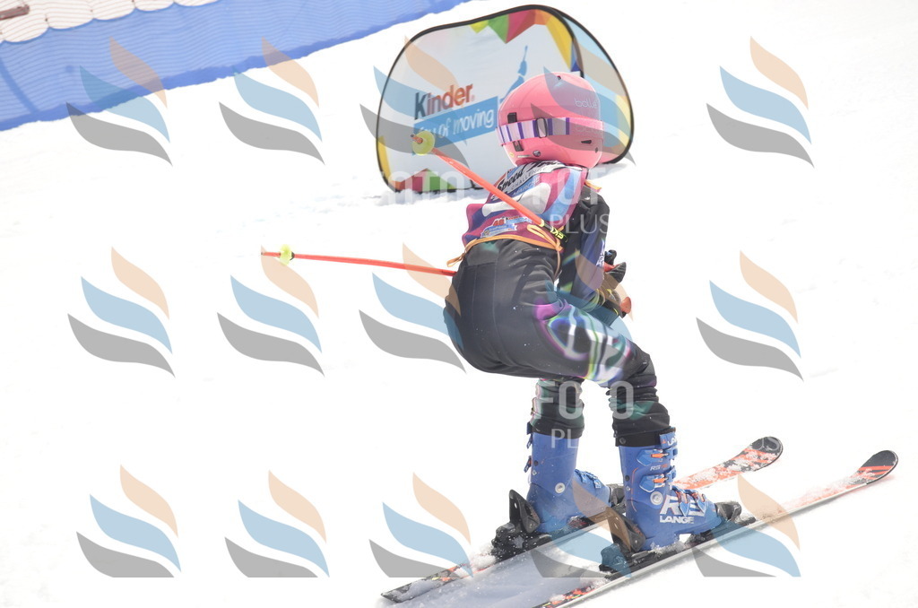 _ELE9201 | holidayphoto