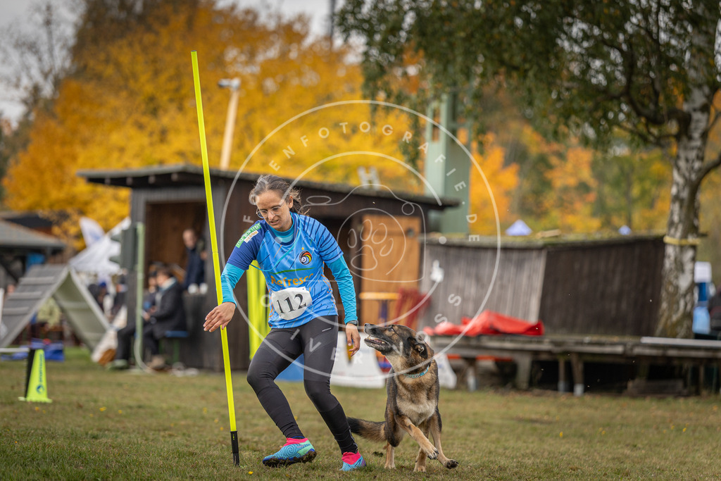 Pfotenfotografie_DV3A6603 | Hundefotografie, Tierfotograf, Pfotenfotografie, Fotoshooting Hund, Hunde Portrait, Hundesport, Hundeportraits, Heideshooting, Hunde, Sportfotograf, Hundefotograf, Turnierhundsport, THS,  - Realisiert mit Pictrs.com