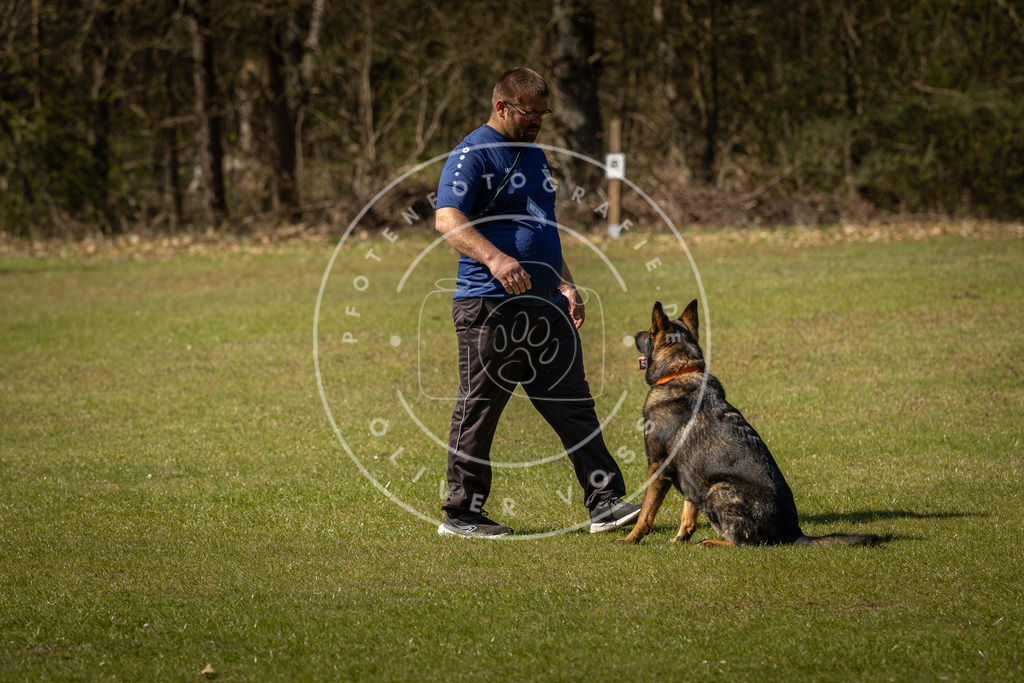 Pfotenfotografie_DV3A0840 | Hundefotografie, Tierfotograf, Pfotenfotografie, Fotoshooting Hund, Hunde Portrait, Hundesport, Hundeportraits, Heideshooting, Hunde, Sportfotograf, Hundefotograf, Turnierhundsport, THS,  - Realisiert mit Pictrs.com