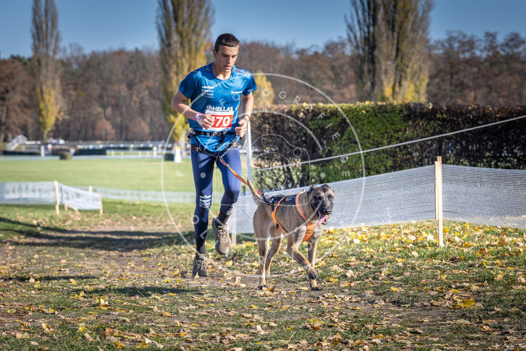 CaniXpix_DV3A8869 | Hundefotografie, Tierfotograf, Pfotenfotografie, Fotoshooting Hund, Hunde Portrait, Hundesport, Hundeportraits, Heideshooting, Hunde, Sportfotograf, Hundefotograf, Turnierhundsport, THS,  - Realisiert mit Pictrs.com