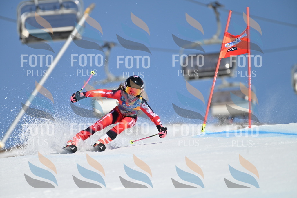 BGV_8403 | holidayphoto