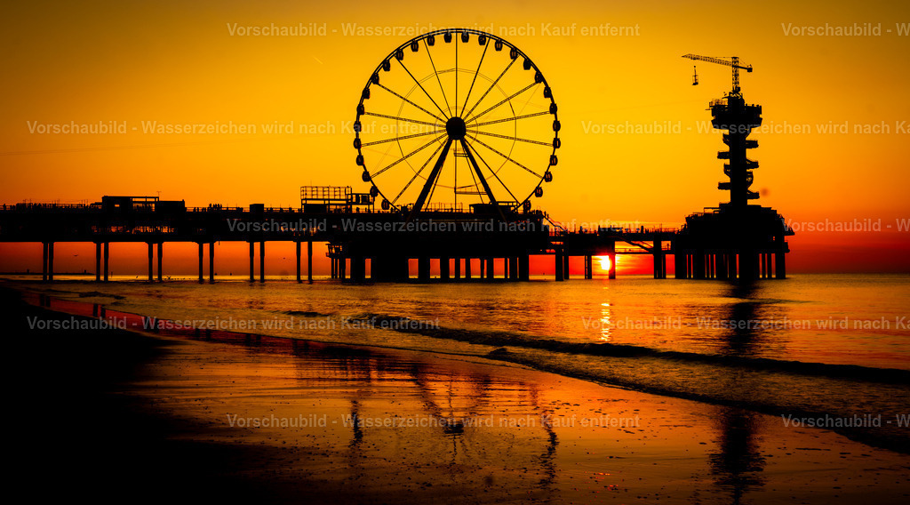 DSC04975 | marcuslinek