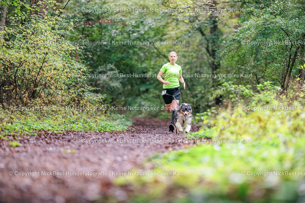 THS-HSV-Blumenthal-2026-Nickbest-Hundefotografie-0481 | Dein Hund! Dein Moment! Deine Erinnerungen! Hundefotografie in Bremen Blumenthal. Ich fange die besonderen Momente deines Vierbeiners ein – ob Indoor mit Blitzanlage oder in der freien Natur. Sicher dir dein Moment und dein Termin für eure Erinnerungen.
