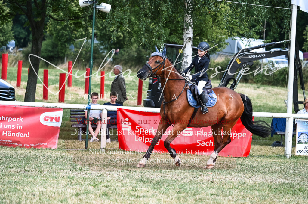 DSC_9684 | Pferde- und Turnierfotografie in Westsachsen. Pferdeportraits, Auftragszeichnungen und intuitive Kunst.
