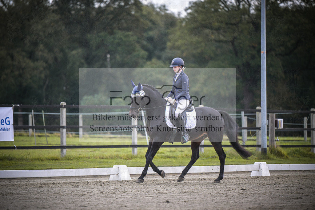 DOS_2467 | Entdecke hochwertige Reitturnierfotos von Foto Oger. Professionell, emotional und authentisch – jetzt Lieblingsmomente im Shop bestellen.Deutschlandweite Turnierfotografie. - Realisiert mit Pictrs.com