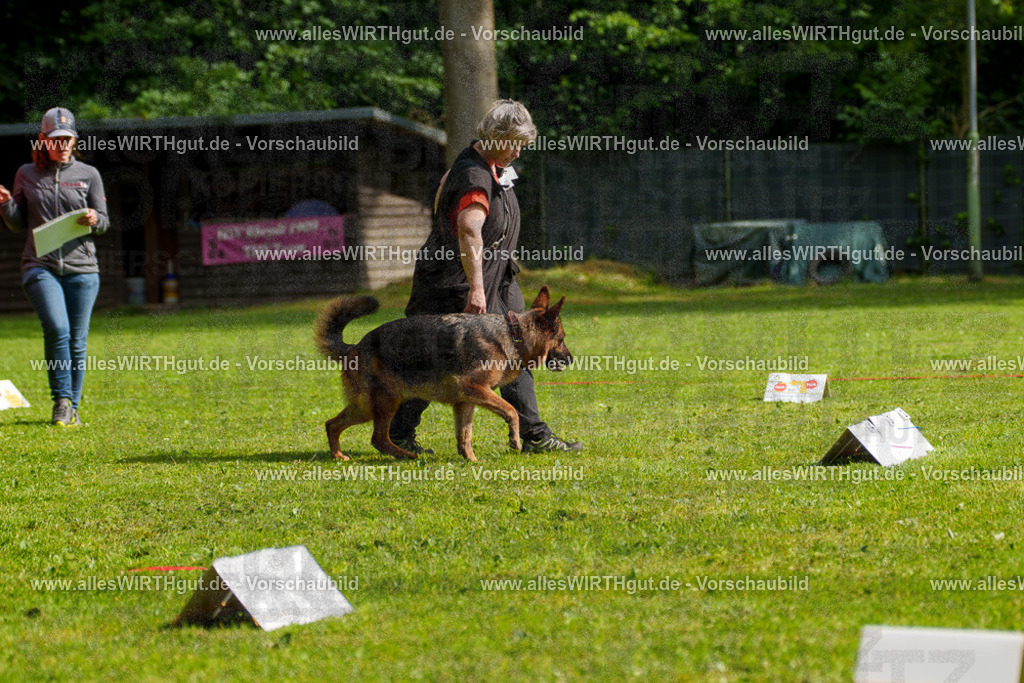 @allesWIRTHgut_Tierfotografie - www.allesWIRTHgut.de - 7R502411 | Professionelle Tierfotografie in Mönchengladbach von Daniel Wirth (allesWIRTHgut). Liebevolle & natürliche Bilder von Hunden & Katzen für unvergessliche Erinnerungen.