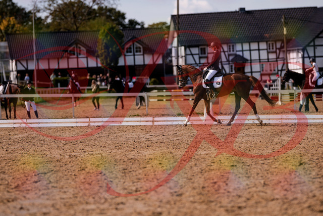 2026_10_03_Siefer-Hof_133144_Z81_86220763 | Professionelle Reitsport-, Turnier- und Eventfotografie von Robert Broda. Galerien mit ausgewählten und bearbeiteten Bildern direkt online ansehen und bestellen.