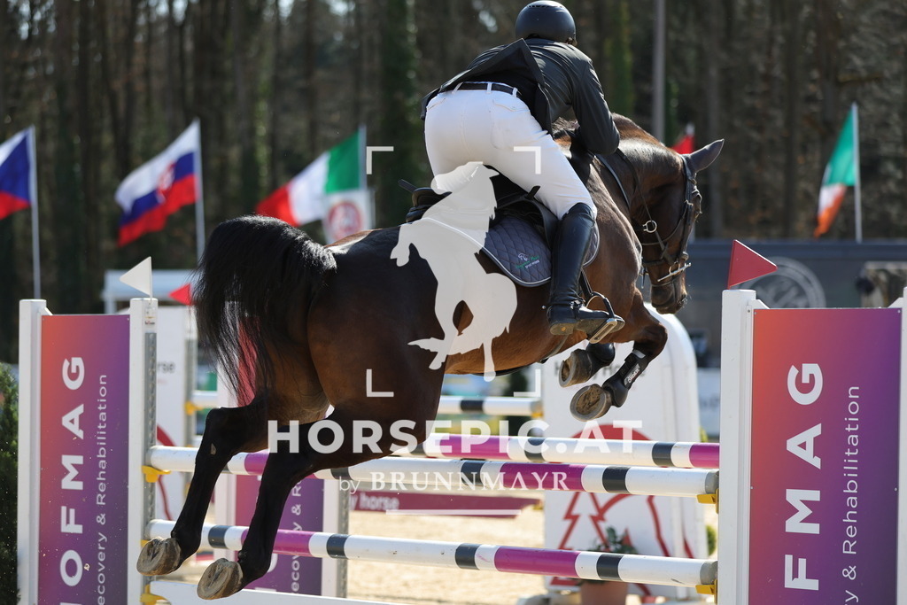 0P6A2072 | Willkommen bei Brunnmayr - Design & Fotografie – Ihrem Spezialisten für Reitturniere und Pferdeveranstaltungen in Oberösterreich, Salzburg und Bayern! Seit über 17 Jahren sind wir leidenschaftlich dabei.