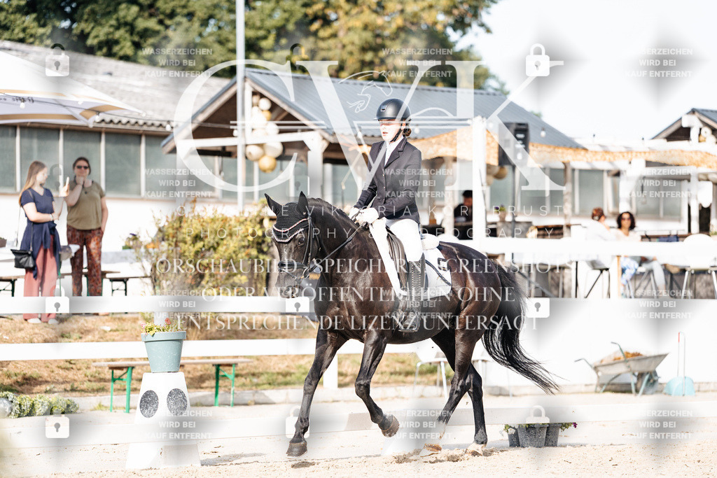 CK905071 | Turnierfotografie Pferdefotografie Trier Rheinland-Pfalz Pferdesport Reitsport Tierfotografie Sportfotografie Pferdevideo Pferdevideografie Equestrianvideography equestrianphotography  - Realisiert mit Pictrs.com