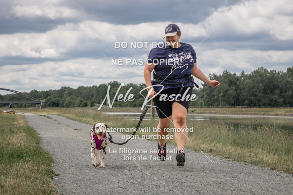nelerasche_BuHu2026_SaCC1100-1200_269 | nelerasche
