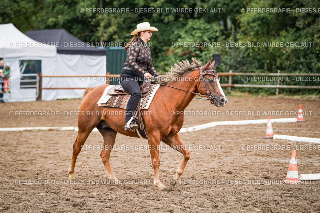 DSC03030 | Pferdegrafie