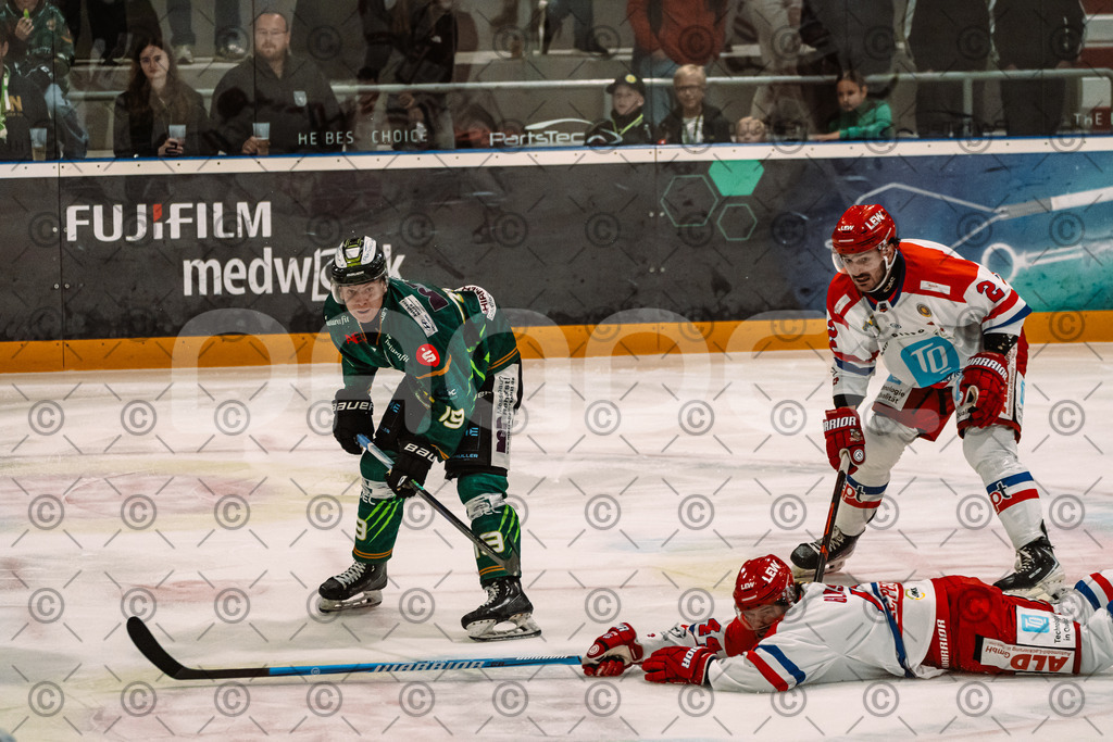 Alligators_vs_Peiting_04_10_2026-37 | Die Fotogalerie von Daddel: professionelle Bilder von Sport, Events und Unternehmen aus Franken. Jetzt Galerien durchstöbern und Lieblingsfotos bestellen. - Realisiert mit Pictrs.com