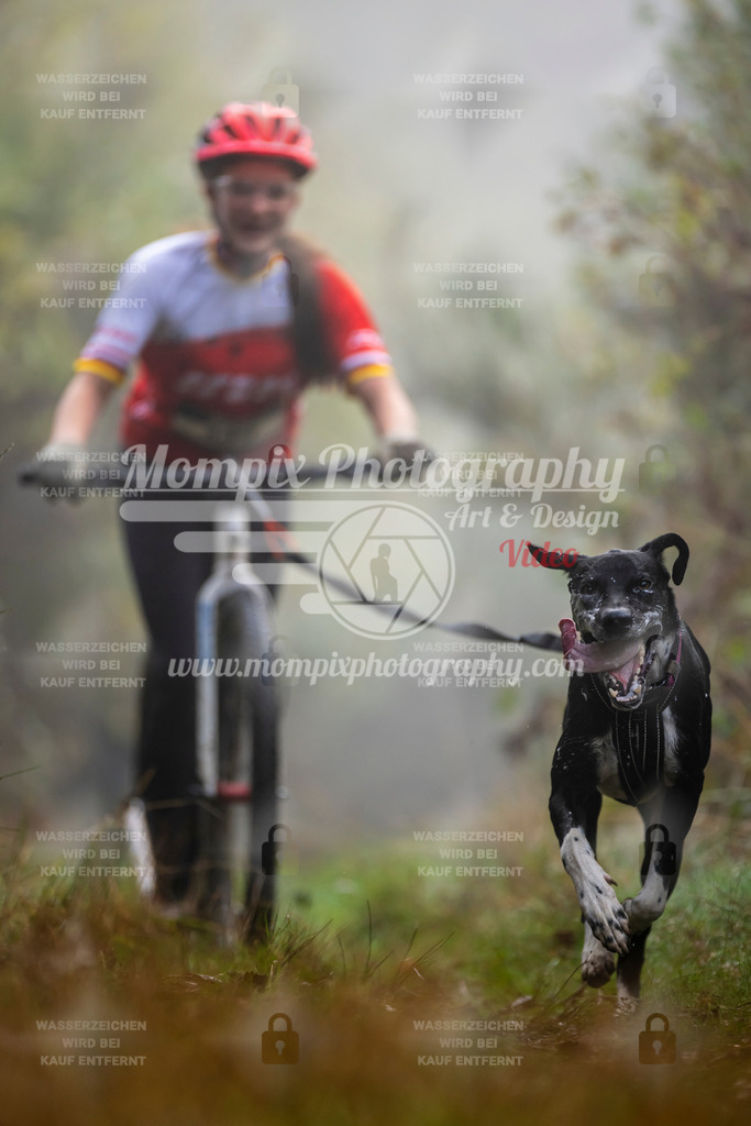 MompixPhotography_20TSB_E4_DS1-43 | PayLife