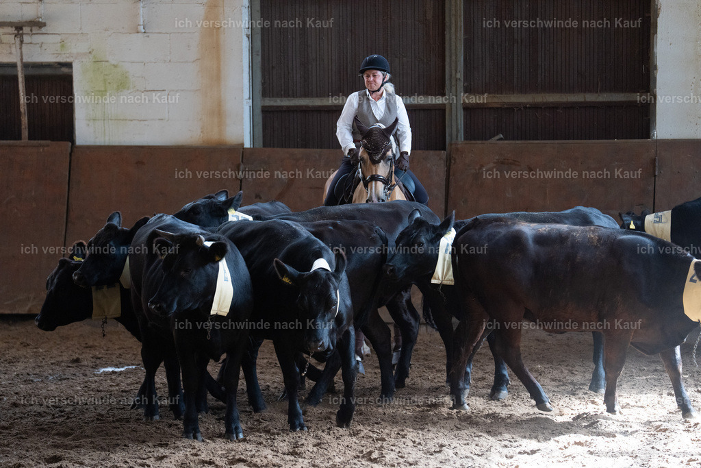 WM_COW_56_SinaFilmArt_IN04551 | working equitationturnier fotograf videograf stoibphotography marixx film working equitation deutschland reitsport turnierfotografie eventfotografie equestrian events