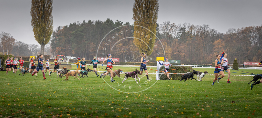 CaniXpix_DV3A8766 | Hundefotografie, Tierfotograf, Pfotenfotografie, Fotoshooting Hund, Hunde Portrait, Hundesport, Hundeportraits, Heideshooting, Hunde, Sportfotograf, Hundefotograf, Turnierhundsport, THS,  - Realisiert mit Pictrs.com