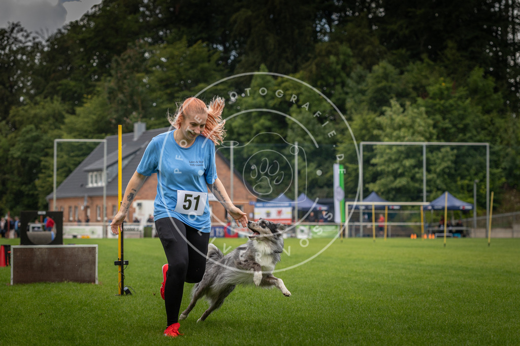 Pfotenfotografie_DV3A5675 | Hundefotografie, Tierfotograf, Pfotenfotografie, Fotoshooting Hund, Hunde Portrait, Hundesport, Hundeportraits, Heideshooting, Hunde, Sportfotograf, Hundefotograf, Turnierhundsport, THS,  - Realisiert mit Pictrs.com