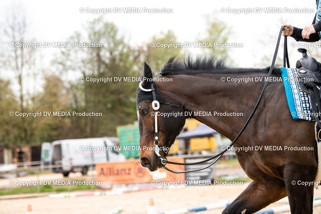 Heiligenwald Tag 1-217 | dv-media-shop - Realisiert mit Pictrs.com