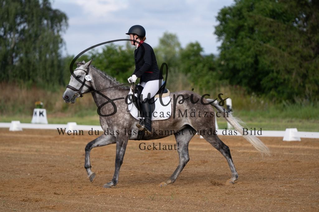 A7V03736 | Turnier/Reitfotograf