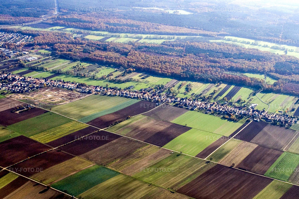 Luftbild: Saarstraße von Norden in Kandel im Bundesland Rheinland-Pfalz in Deutschland. Foto: IMG_4710.jpg vom 16.11.2006 durch Werner Riehm/FLY-FOTO.de