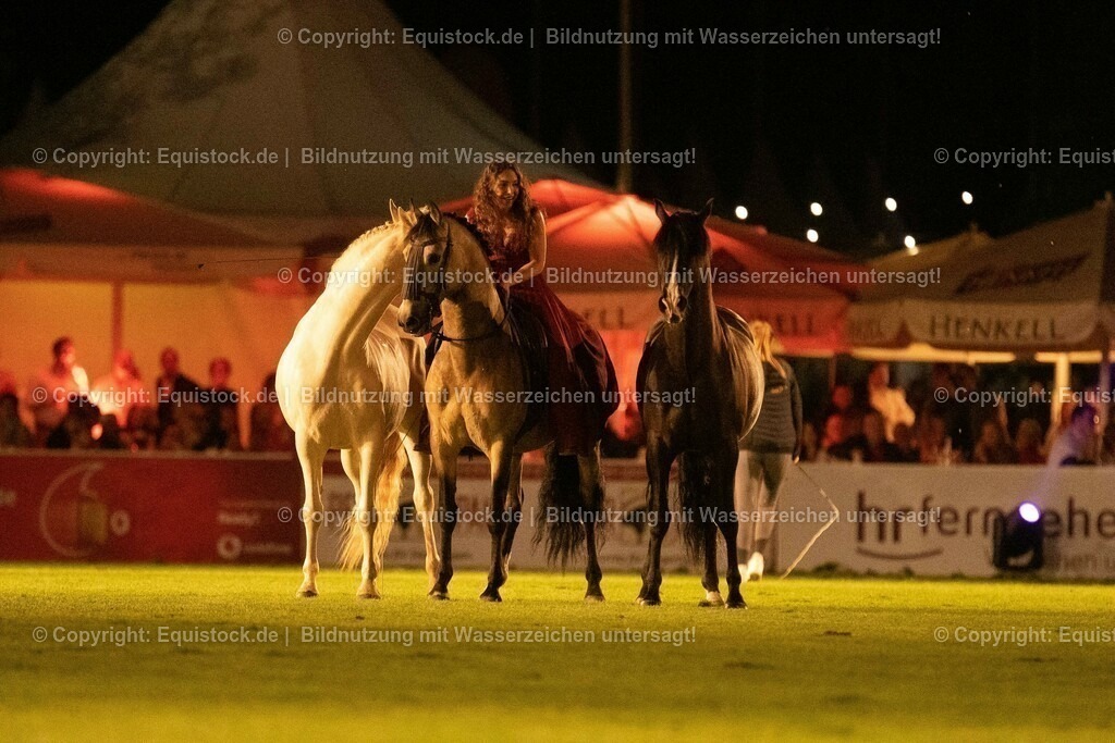 20230526_Pferdenacht_1502 | equistock