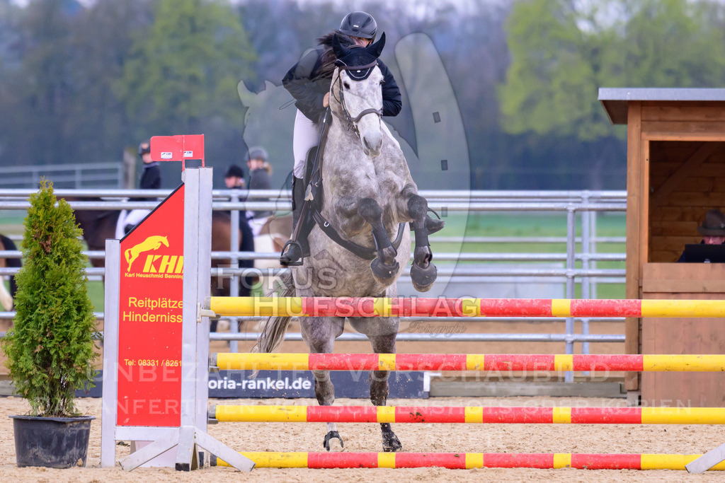 10042026-Mammendorf-Prfg16-0407 | Fokus Hufschlag Fotografie - Realisiert mit Pictrs.com