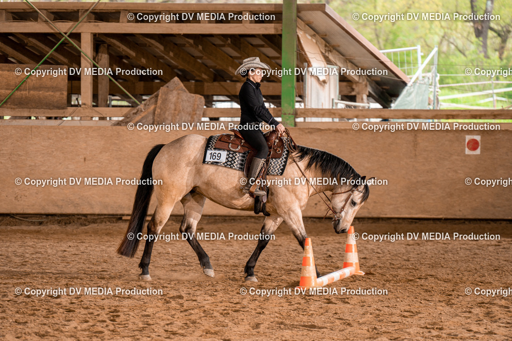 BA300853 | dv-media-shop - Realisiert mit Pictrs.com