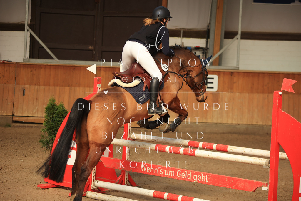 IMGT9946 | pl-fotografie