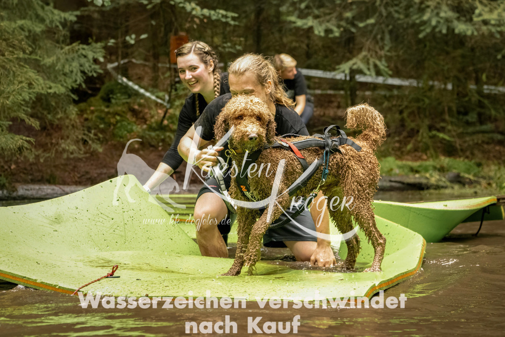 1218_ZZ93748-Bearbeitet | kk-dogfotos