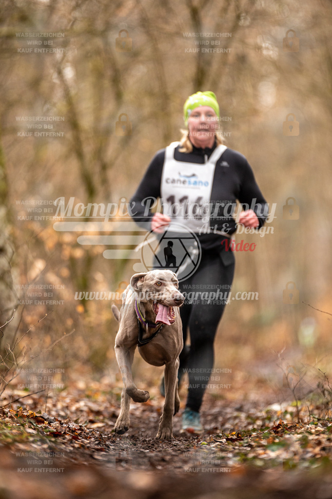 Reiat2023_SON_CaniXRun_5km_W-59 | PayLife
