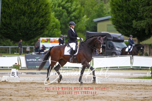 DKP40753 | Turniersportfotografie; Pferdefotografie; Dressurfotografie