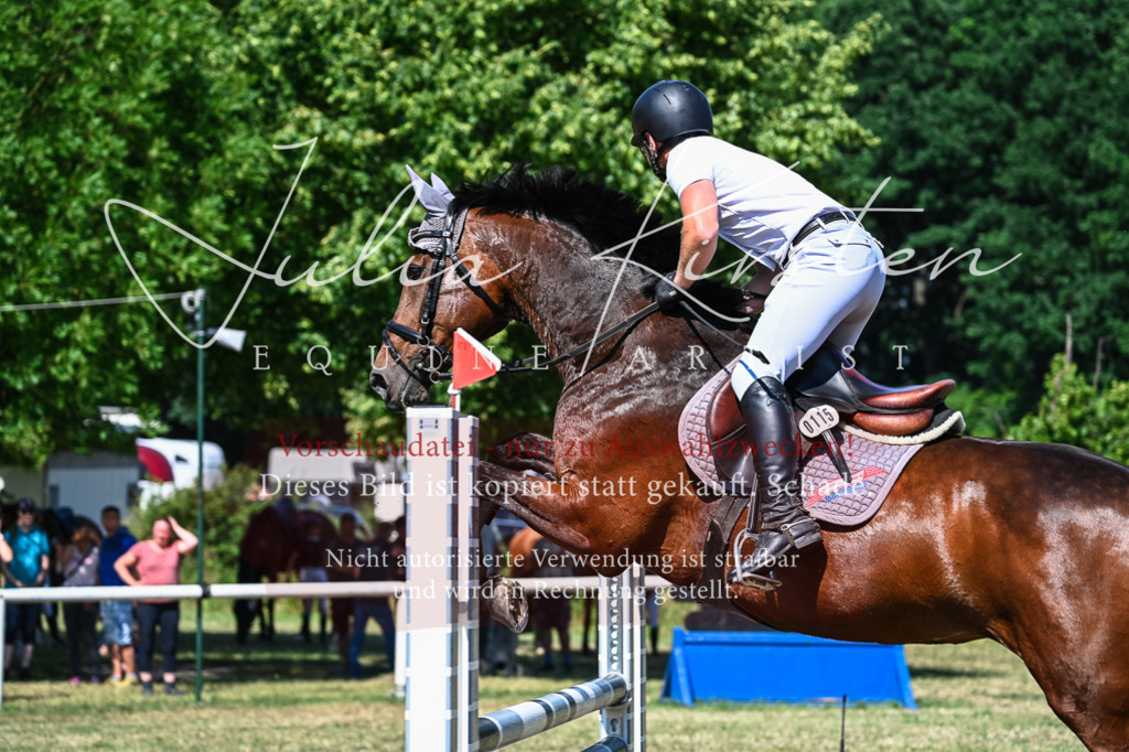 DSC_1667 | Pferde- und Turnierfotografie in Westsachsen. Pferdeportraits, Auftragszeichnungen und intuitive Kunst.