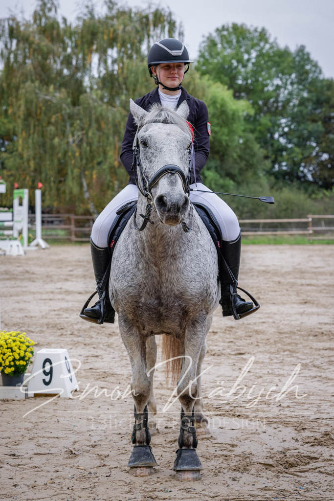20251012-_3LI3510 | Tierfotografie Pferde, Hunde, Katzen, Haustiere.
Turnierfotografie Reitturniere, Reiten, Springreiten, Dressur in Hanau, dem Main-Kinzig-Kreis und dem Rhein-Main- Gebiet um Frankfurt