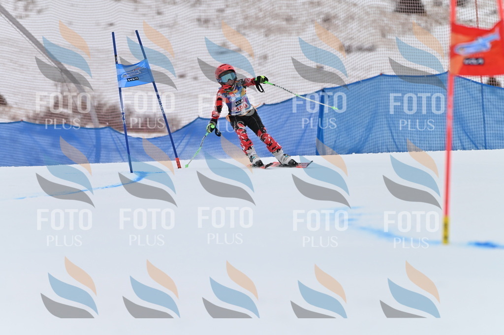 BGV_1357 | holidayphoto