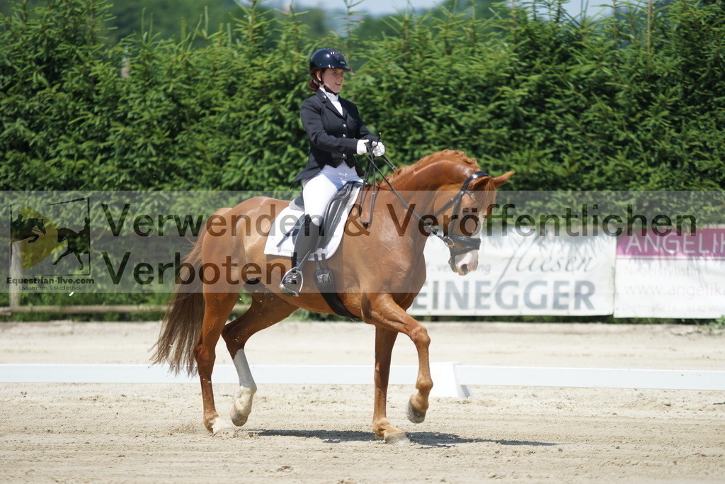 DSC04882 | equestrian-live-com